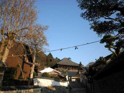 大仏殿北側の結界縄