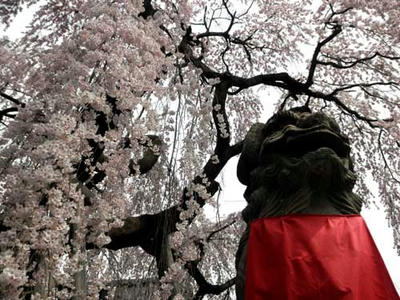 氷室神社