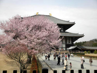 東大寺大仏殿