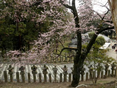 東大寺　四月堂横の階段