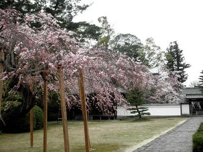 東大寺　勧進所