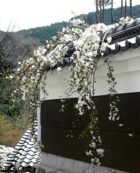 大宇陀にて