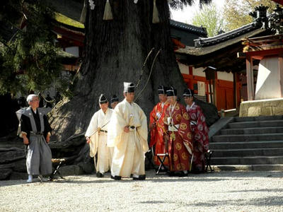 神杉の元で
