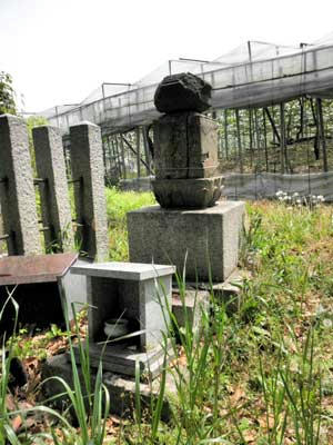 大僧正隆光の墓
