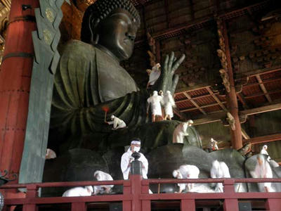 こうして見るとやはり大きいです……・毘慮舎那仏