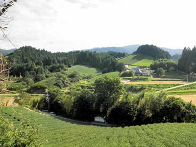 墓所から見る田原の里