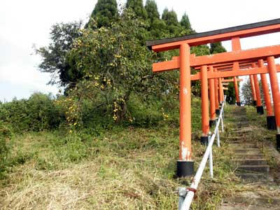 奈良市山町　ベンショ塚古墳
