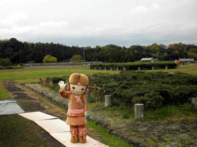 浄見原宮跡のイワミン