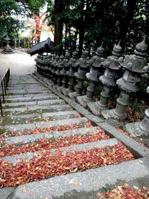 紅葉の散る苔むした階段