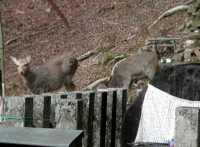 まんなおし地蔵尊にて