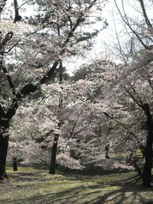 雲の林－東大寺東塔跡