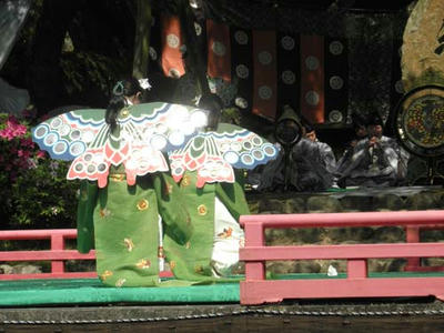 胡蝶　後姿