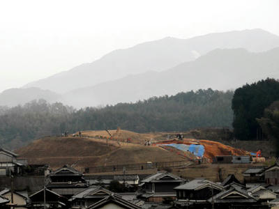 植山古墳遠望