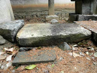 横から見た踏石