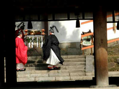 御棚神饌を御本殿に奉る勅使と辨