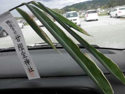頂いた笹