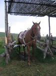 img_1339.JPG