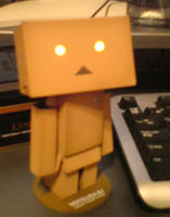 danbo.JPG