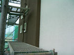 25e90b89.jpg