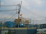 06f92472.jpg