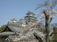 姫路城天守閣