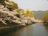 岡崎公園