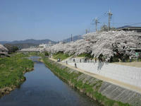 賀茂川