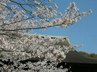 三井寺