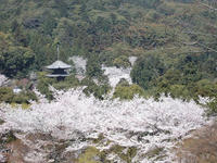 石山寺