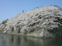 彦根城の堀