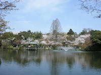 高岡古城公園の噴水
