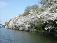 高岡古城公園のお堀