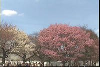 上野公園１