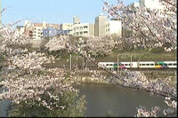 市ヶ谷１