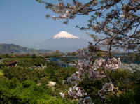 富士山２