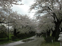 展勝地１