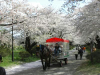 展勝地２