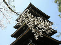 仁和寺２