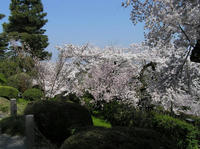 兼六園１