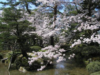 兼六園２