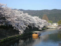 東山１