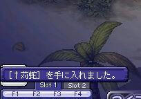 ﾃﾞﾀｰ