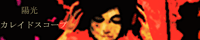banner.gif