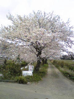 Image556~03.jpg