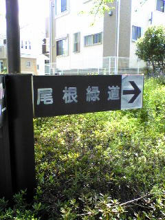 201005011.jpg