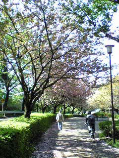 201005013.jpg