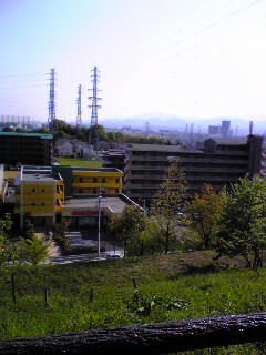 201005015.jpg