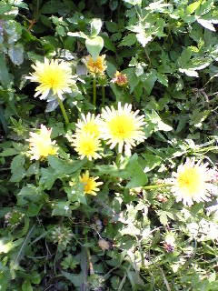 201005021.jpg