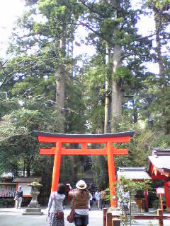 201005032.jpg