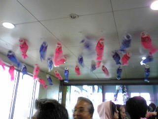 201005034.jpg
